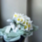 Beau bouquet de mariée délicat pour mariage de luxe