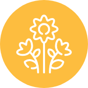 spring-flower-icon.png
