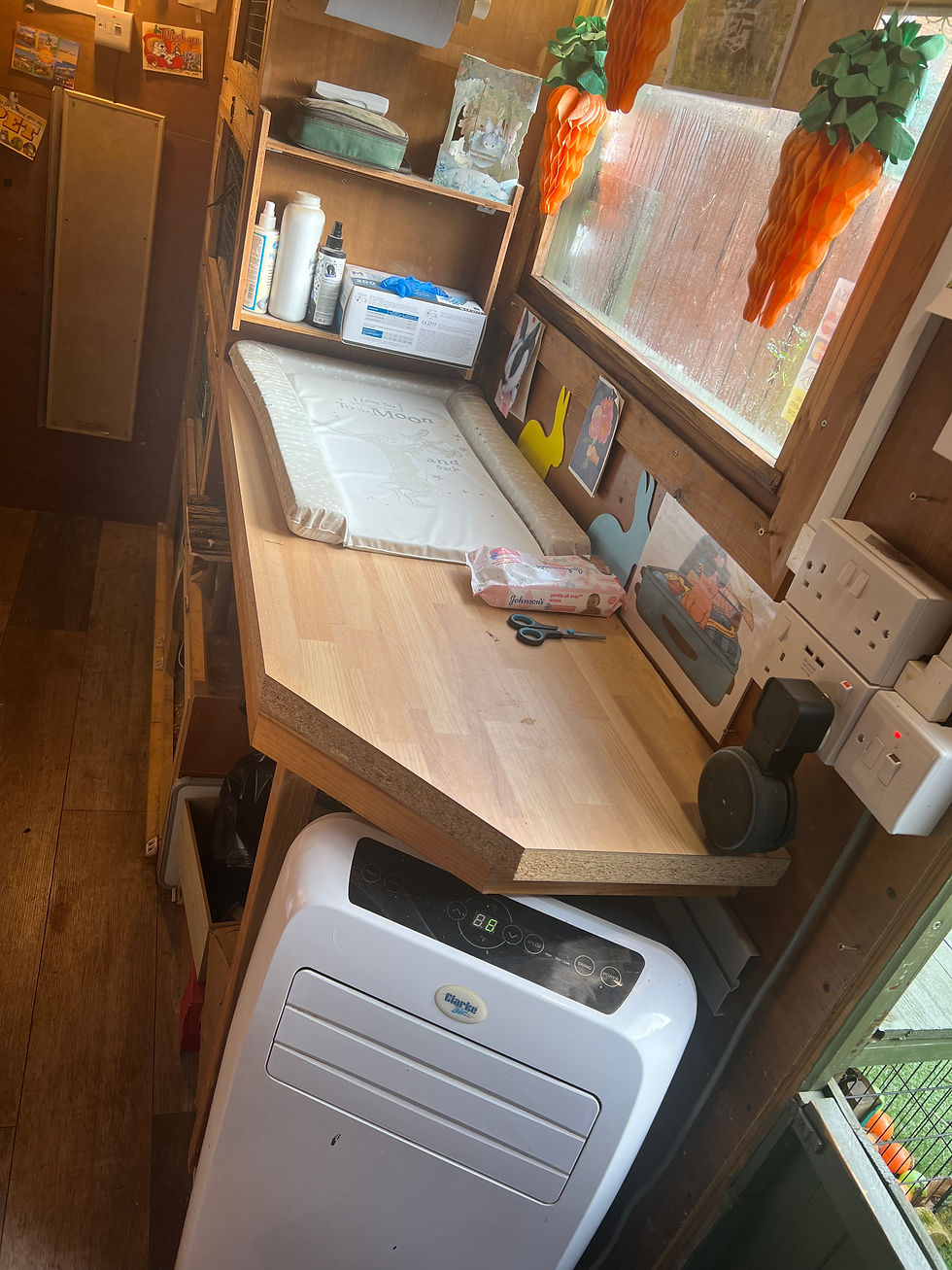 Grooming Table
