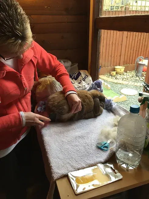 Pamper Session