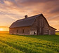 wood barn green field sunsetting.jpg