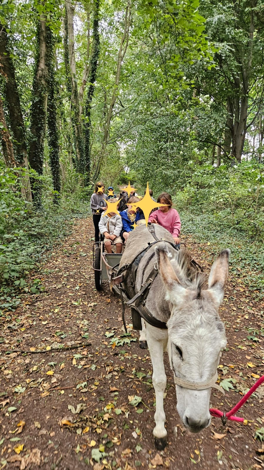 593797544_1189271633335954_494237311062340221_n