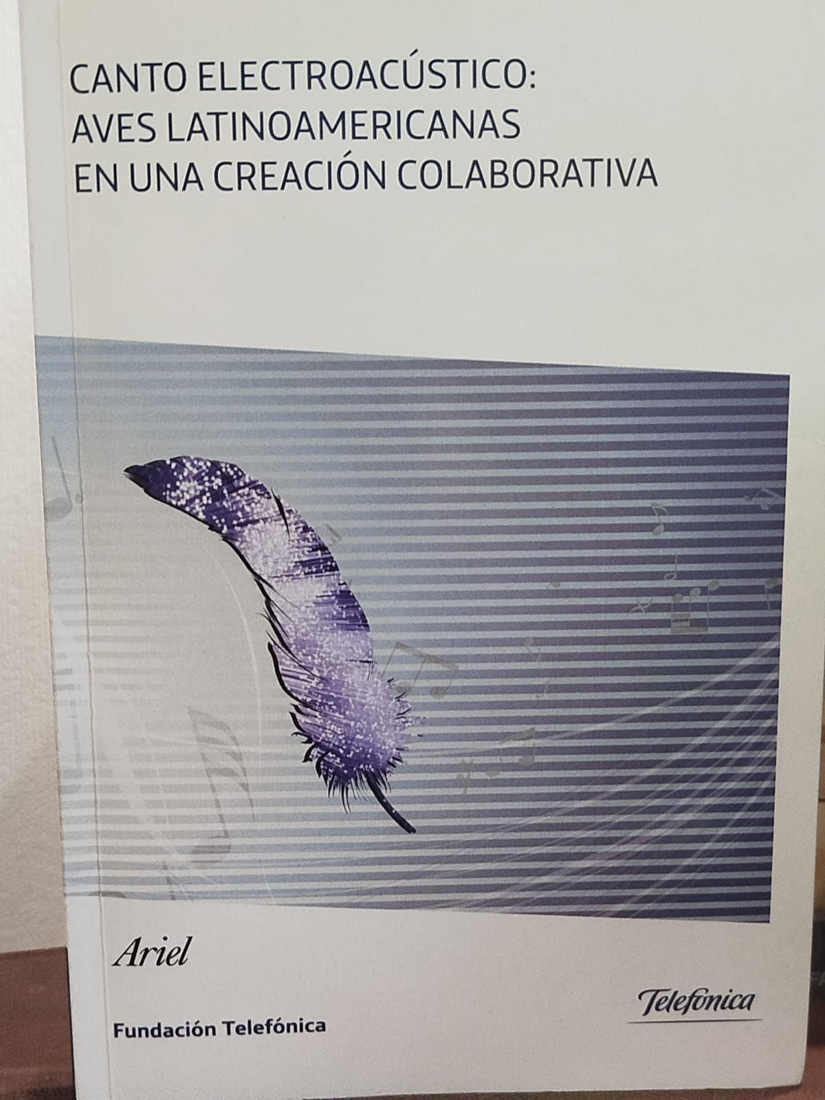 Canto electroacústico: aves latinoamericanas en una creación colaborativa