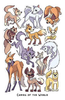 aardwolf prints canids text.png