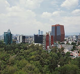 20200705_133241 (1).jpg