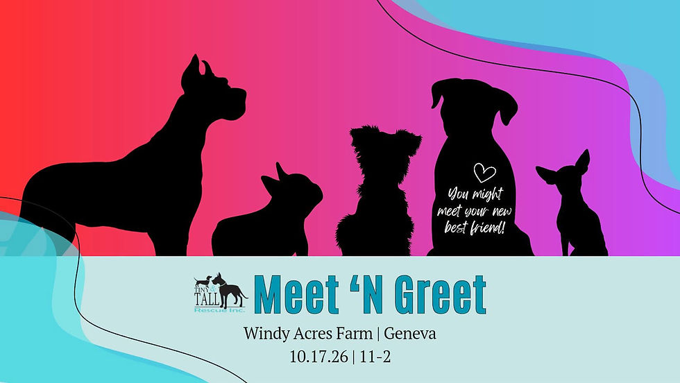 TNT Adoption Event @ Windy Acres
