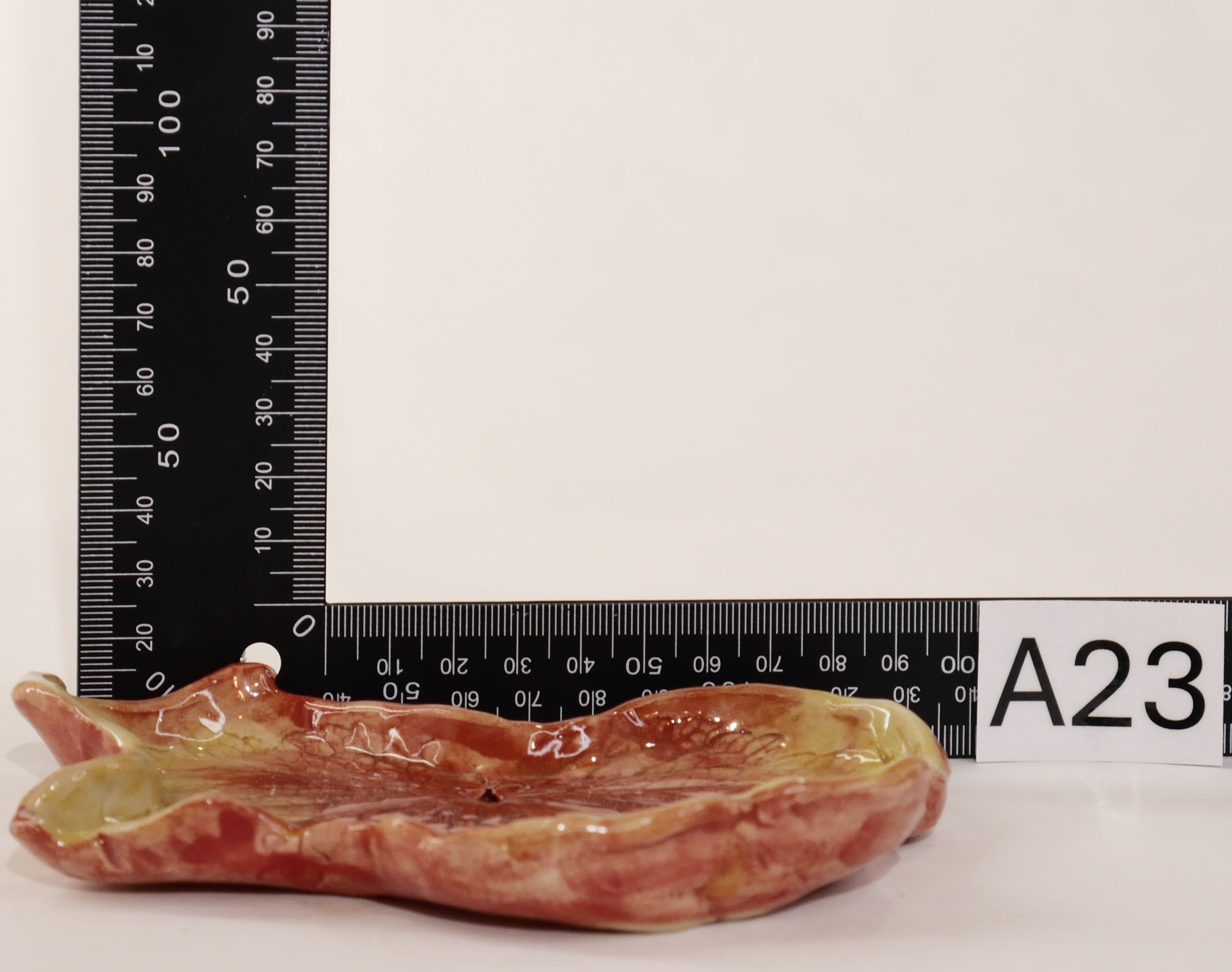 A23