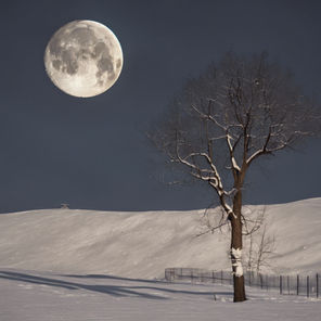 The Moon's Phases December 2025
