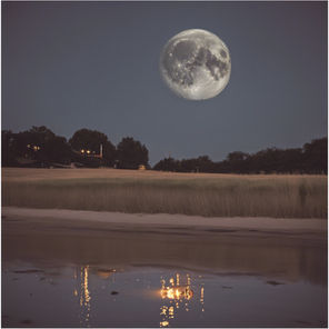 The Moon's Phases July 2025