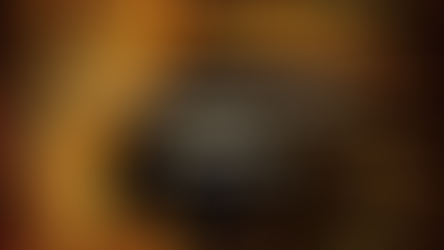 The Language of the Soul Part 2