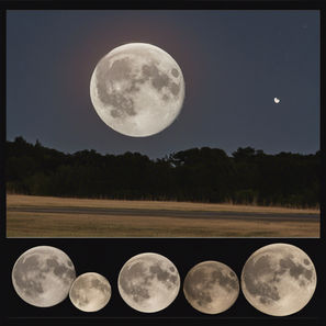 The Moon's Phases August 2025