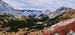 Colors of the Wilderness