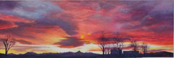 Under a Tie-dye Sky