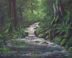 Moss and Ferns
