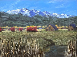 My Side of the Mountains