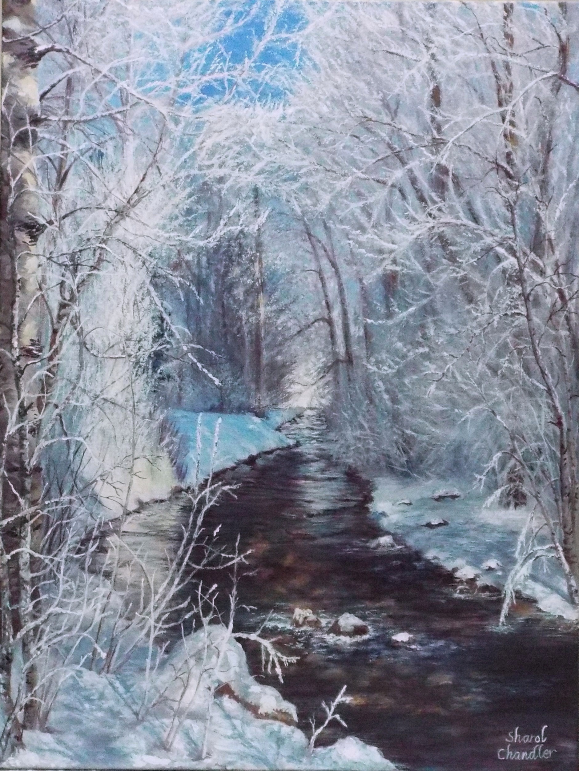 Winter by the Creek