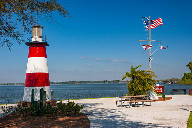 istockphoto-2255941327-612x612.jpg