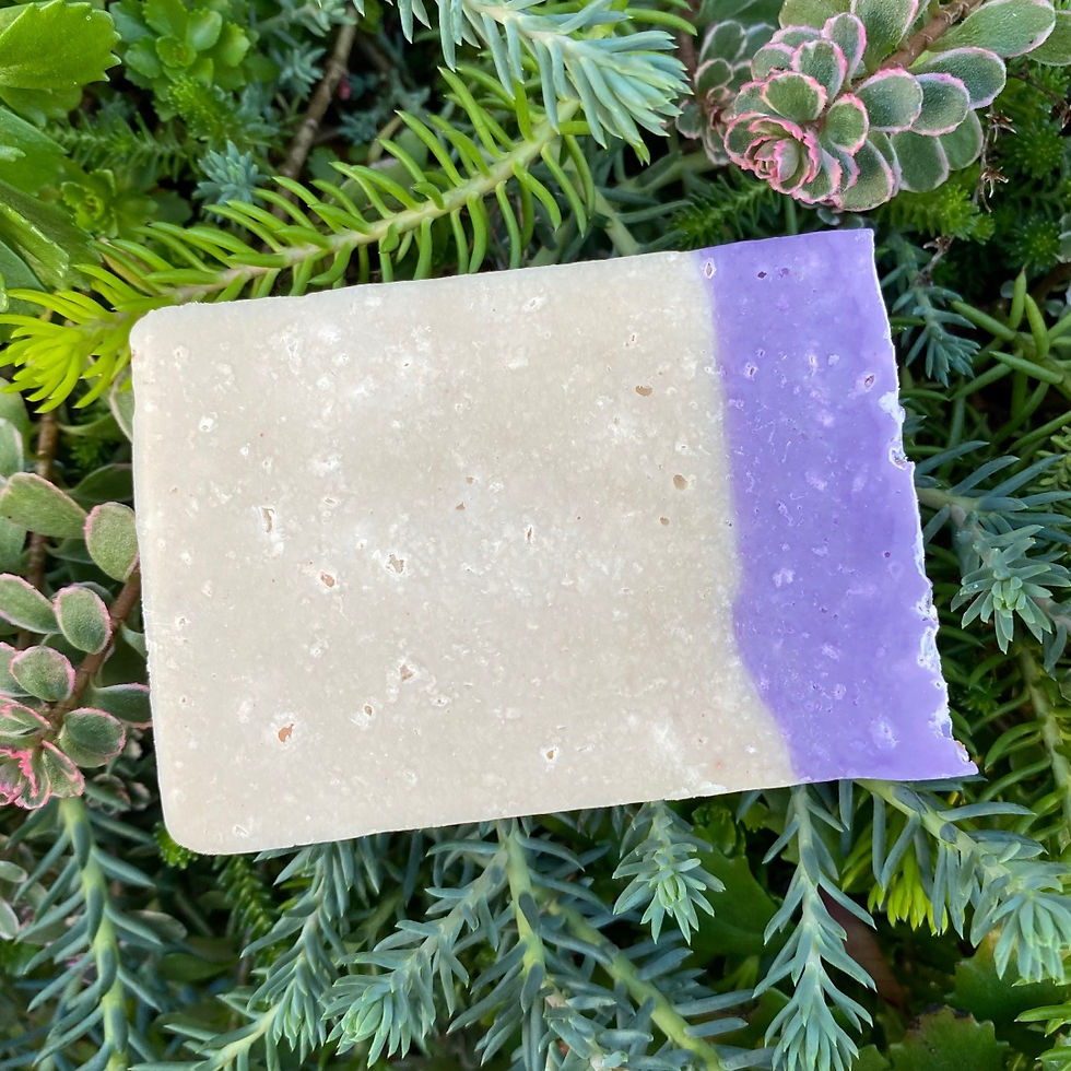 Savon Lavande, Cèdre et Bois de Santal