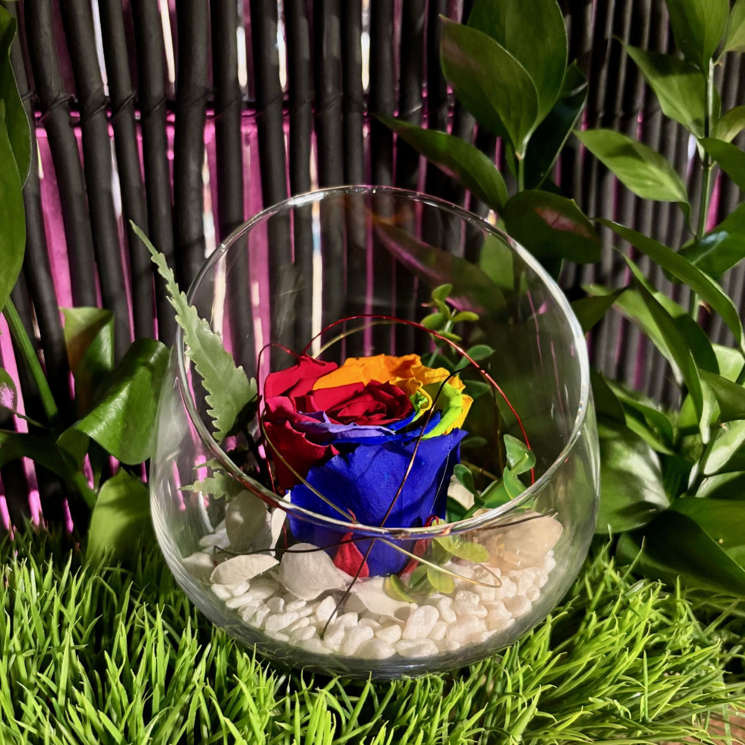 Rose éternelle multi en vase