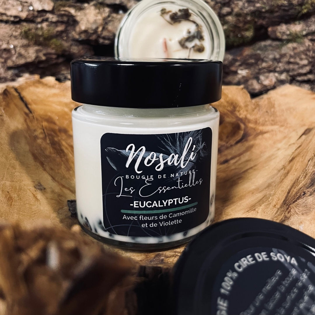 Bougie Eucalyptus