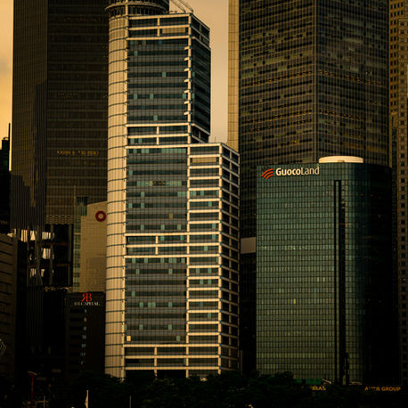 Op-Ed: Rebalancing the Lion: The Reforms Temasek Needs