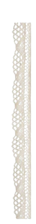 Untitled design-19 copy 13.png