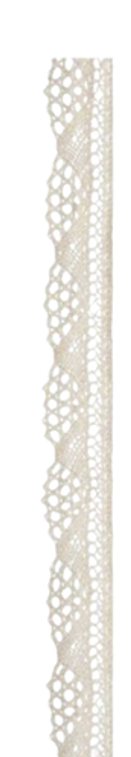 Untitled design-19 copy 13.png