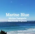 Marin Blue.webp