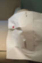 Tracing of front section.