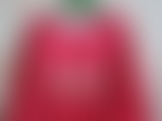 Honey Honey Bo Bunny: Inserts Can Be Funny!