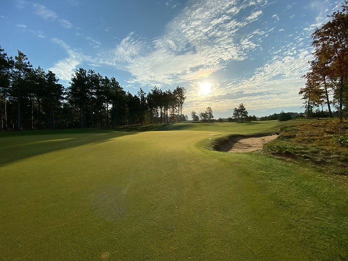 Golf course background.jpg