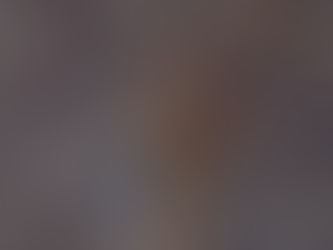 Yıldızlara Bakarak Yönümüzü Nasıl Buluruz?