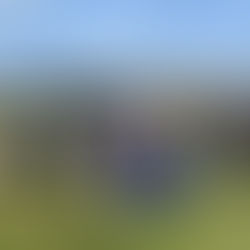 Sept 2021 - Stannon and Trippet Stones
