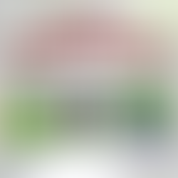 June 2007 - North Petherwin