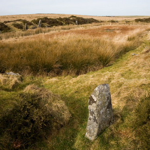 June 2021 - Back on Bodmin Moor