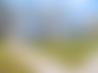 A New Chapter: Poplar Forest at Mercer Nears Completion