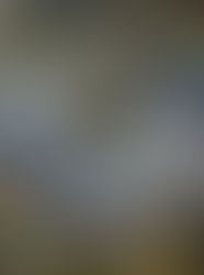 Barnett Villas: Now Leasing & Taking Shape