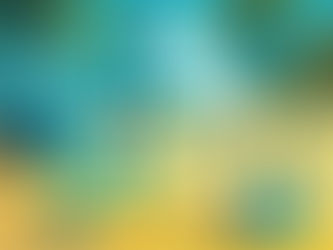 Flow? No. WiFi woes & blackout shows – Typisch Curaçao!