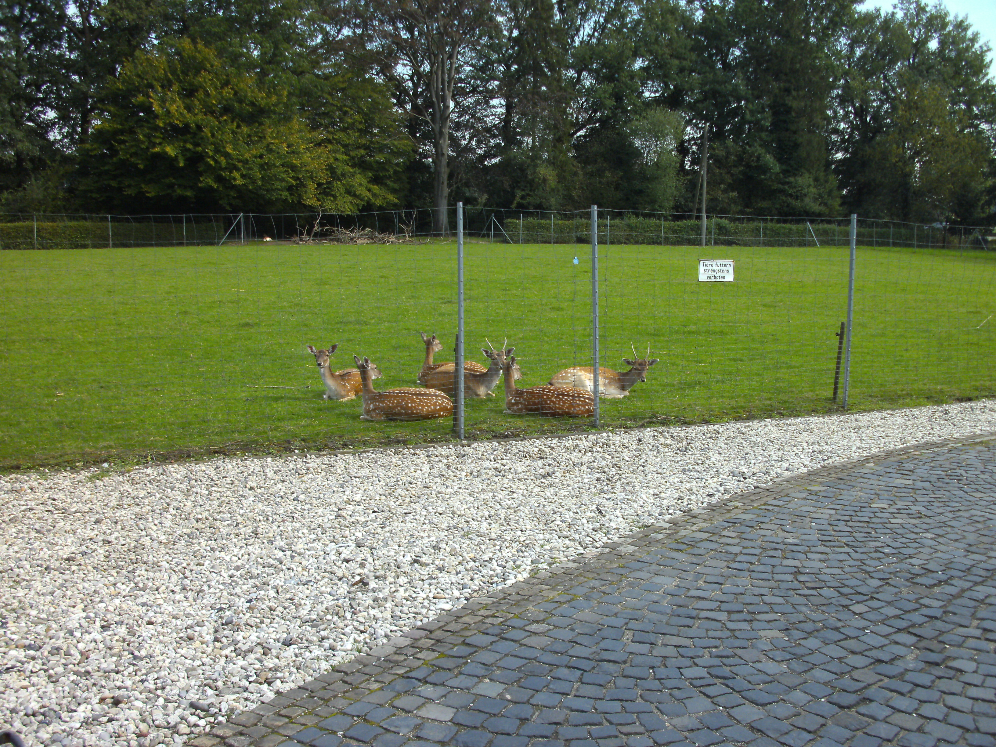 Sozialwerk Heuser Seniorenresidenz Haus Tenking