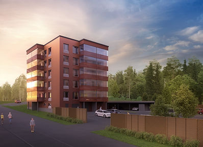 kuopio villivarsa.jpeg