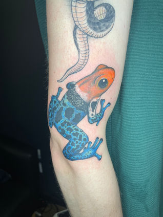 Neo-traditional tattoo of a poision dart frog on an arm
