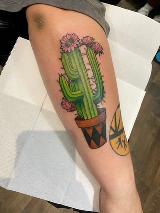 Colour neo traditional tattoo of a cactus