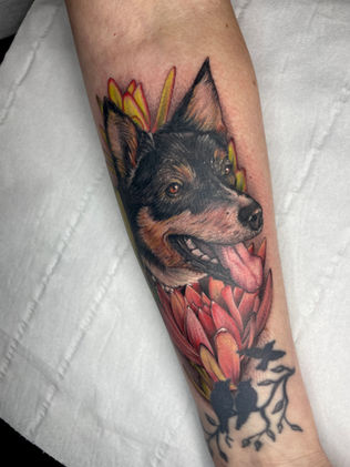Neo-traditional tattoo portrait of a border collie dog with a pink flower on a forearm