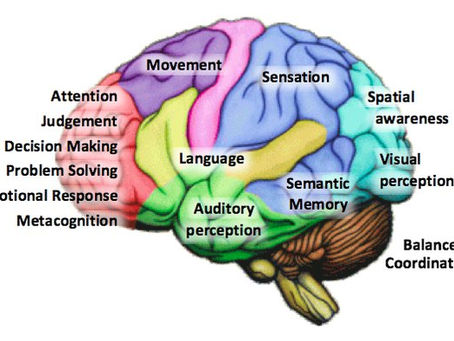 Boost Your Brain: Exploring the Benefits of Supplements for Cognitive Function and Mental Health