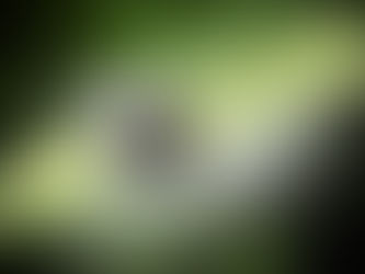 Satellites for Farming