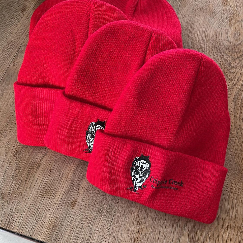 Beanie Cripple Creek Huskies