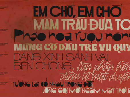 term 1 reflection - sst vietnamese literature