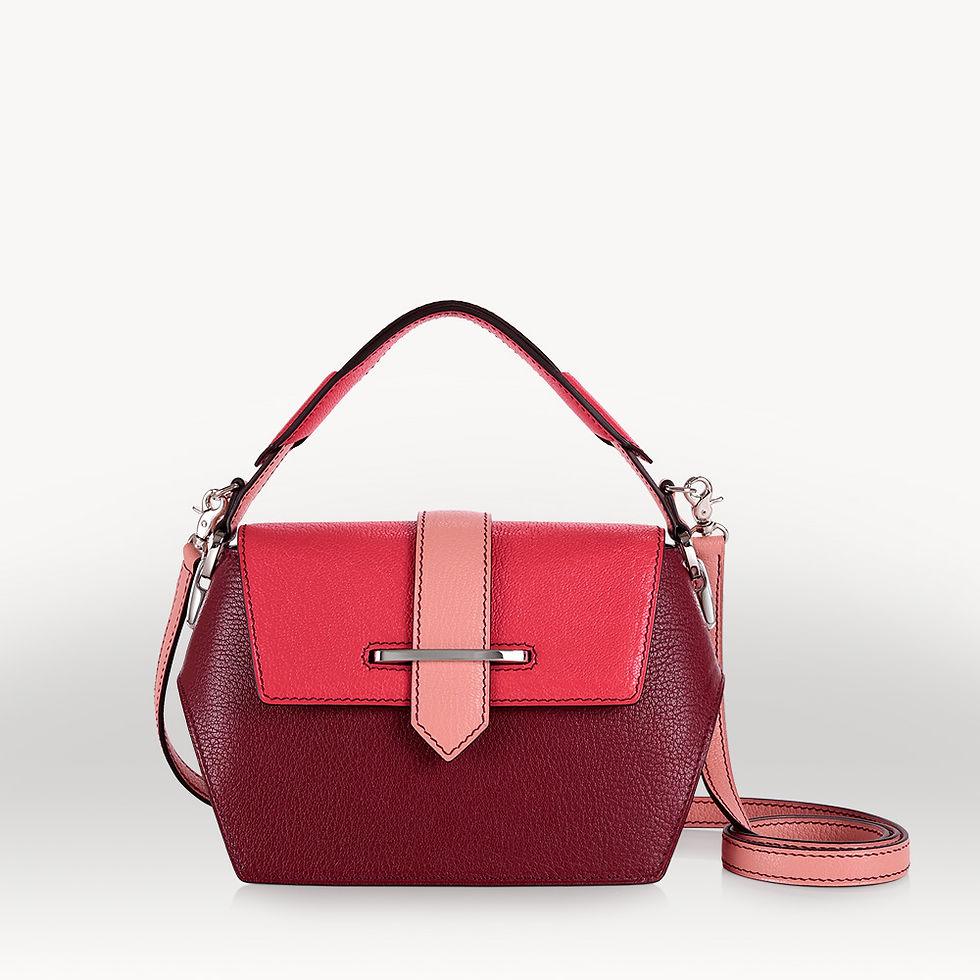 Red and pink goat leather luxury french handbag
