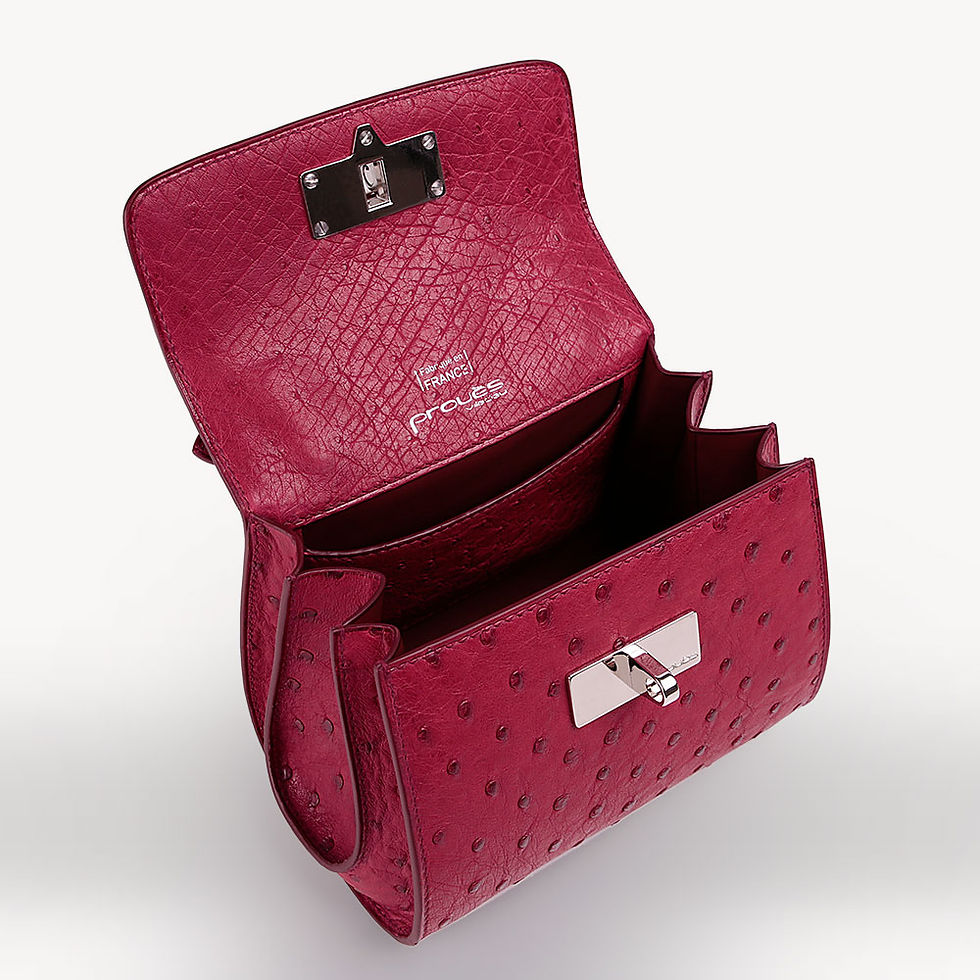 Miniature : Red ostrich leather french luxury handbag