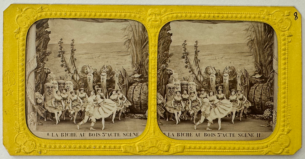 Miniature : "La Biche au bois" par Adolphe Block 10 cartes stéréo albuminées french tissues